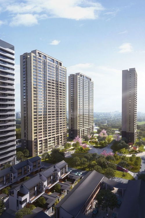 多維度解析辰雨如畫 冠魯房地產開發與濟寧豐碩置業的匠心之作